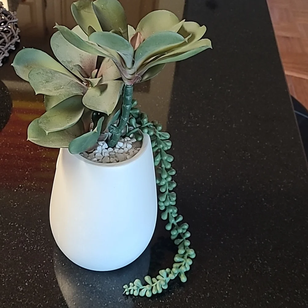 Succulent Face Pot
